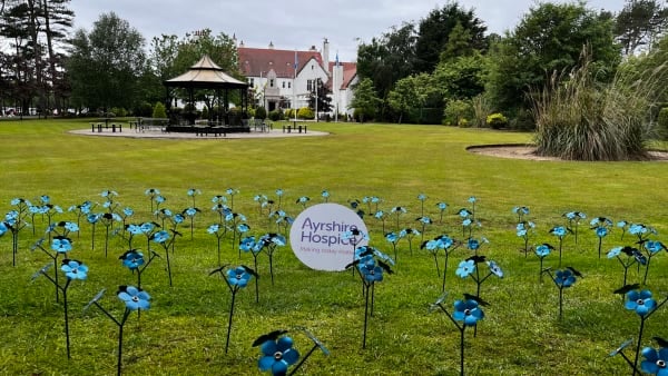 Visit our Forget-Me-Not Display